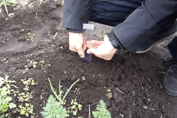 土壌に埋めやすい板型構造